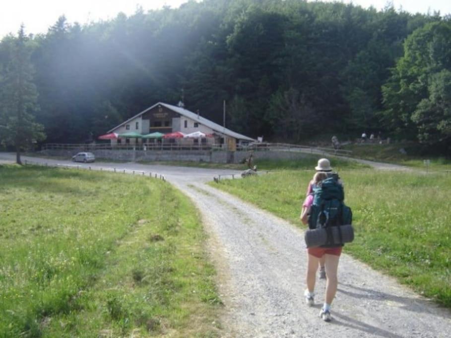 Cozy Rooms In Nature, Perfect For Relax Илирска-Бистрица Экстерьер фото